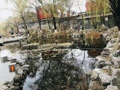 -文瀛公园