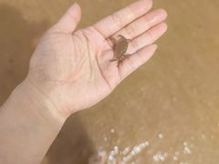 -天津东疆湾沙滩景区