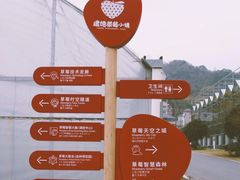 -建德果蔬乐园绪塘草莓基地