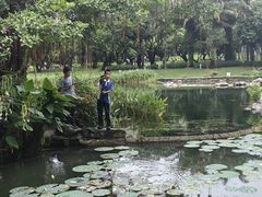 -四海公园(南山区)