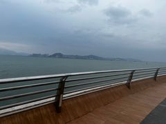 -演武大桥观景平台