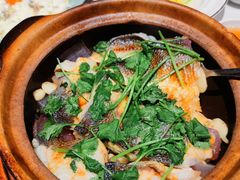 -顶特勒·黄鱼馆·特色菜(上海大世界店)
