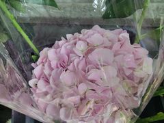 -雪蔓之鲜花气球派对(家佳源时代中心店)