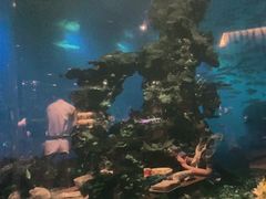 -海棠湾洲际-涛·海底餐厅·美人鱼·自助餐·海底隧道
