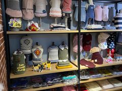-爱派特动物医院·全科诊疗中心
