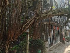 -小洲村
