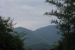 -湖州德清田美树心农乐园
