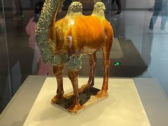 -贵州省博物馆(新馆)