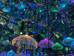 -天津梵高星空艺术馆(天河城旗舰店)