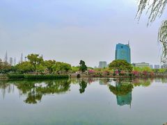 -无锡蠡湖国家湿地公园-蠡园
