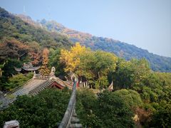 -韬光茶庵