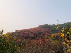 -北京西山国家森林公园