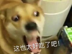 -1973继光香香鸡(金桥国际店)