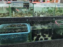 -下川岛人和海鲜酒楼