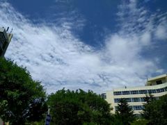 -山东大学(威海校区)