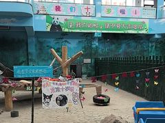 -沈阳森林动物园
