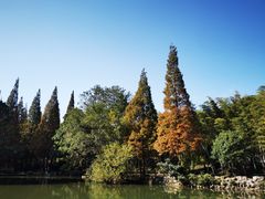 -宝岩生态观光园