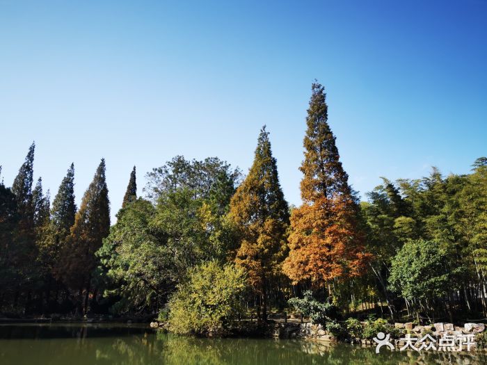 宝岩生态观光园图片