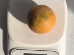 -南坛综合农贸市场