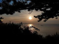 -养马岛旅游度假区