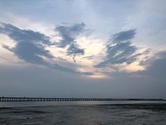 -宝安西湾红树林湿地公园