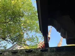 -天一阁博物院