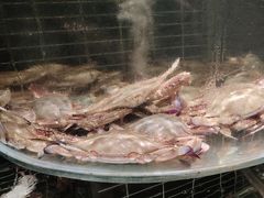 -浩运海鲜·16年专注青岛菜(石老人店)