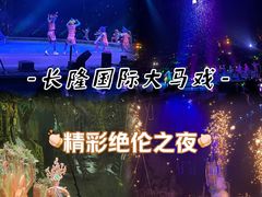 -广州长隆国际大马戏