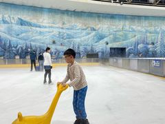 -世界之窗阿尔卑斯冰雪世界