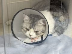 -博特宠物医院24h犬猫全科.骨科·异宠