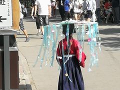 -白洋淀景区