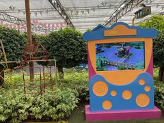 -南宫五洲植物乐园