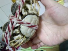 -丫丫蟹庄·苏式园林农家乐·阳澄湖大闸蟹(阳澄湖莲花岛店)