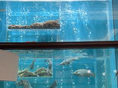 -珍记海鲜酒家(嵩山路店)