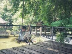 -老木棉·匠园
