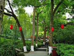 -杭州黄龙洞