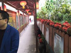 -窄巷子陕菜馆·地道陕西菜(粉巷店)