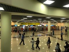 -谢列梅捷沃国际机场