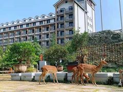 -观唐（国际）度假村温泉