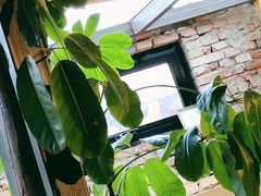 -VOYAGE COFFEE(北锣鼓巷店)