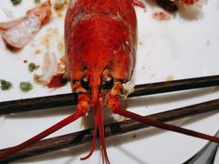 -神洲四海大酒楼(王府井澳门中心店)