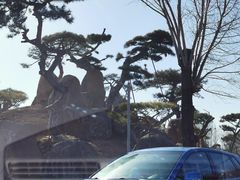 -罗红摄影艺术馆