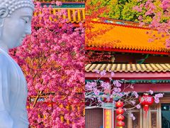 -天竺岩寺