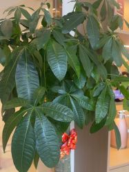 点击看大图 -头道汤头疗养生馆