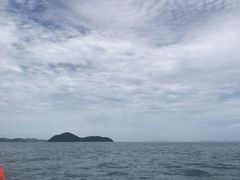 -珊瑚岛