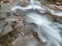 -广州白江湖森林公园