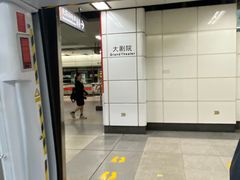 -大剧院(地铁站)
