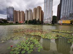 -花果园湿地公园