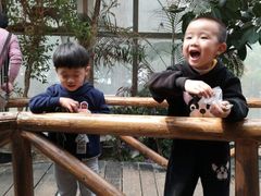 -上海大自然野生昆虫馆(东方明珠·爬宠昆虫探索中心)