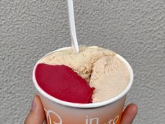 油柑茉莉-Dip in Gelato(富民路店)